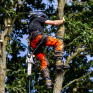 英國 ARBORTEC AT4060(US)- Breatheflex Pro Realtree Chainsaw Pants UL Rated - Orange 鏈鋸褲 (預定)