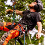 英國 ARBORTEC AT4060(US)- Breatheflex Pro Realtree Chainsaw Pants UL Rated - Orange 鏈鋸褲 (預定)