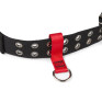 澳洲 GRIPPS Belt-Loop Anchor 腰帶式工具防墜錨點